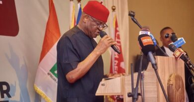 ADC Won’t Be Rigged Out In 2027, Will Defend Votes Within The Law — David Mark