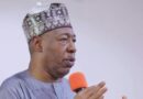 Borno Lost N3bn Electricity Line To Ajakuta Scavengers — Zulum