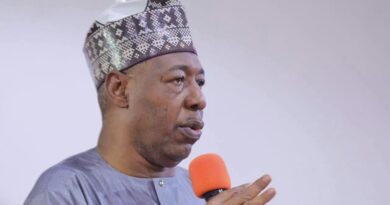 Borno Lost N3bn Electricity Line To Ajakuta Scavengers — Zulum
