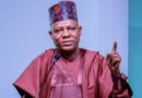 Stop Waiting For Abuja, Take Charge Of Your Own Power Supply — Shettima Tells States