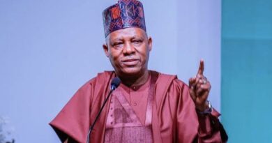 Stop Waiting For Abuja, Take Charge Of Your Own Power Supply — Shettima Tells States