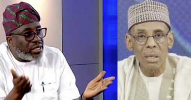“That’s A Northern Kid” — Sowunmi Attacks Baba-Ahmed’s Regional Identity For Calling Tinubu A Failure