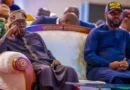“He Is Running After His Father” — President Tinubu Clears Air On Seyi’s Political Ambition