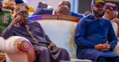 “He Is Running After His Father” — President Tinubu Clears Air On Seyi’s Political Ambition