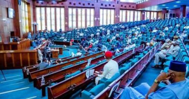 Only Registered Members Can Contest — Reps Tell INEC To Enforce Electoral Act