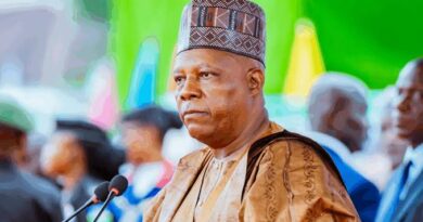 “My Boss, Shettima Is On The Ballot, Please Support Him” — VP Shettima Media Aides Nkwocha Begs Imo Kinsmen