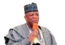 2027: APC Will Run Issue-Based Campaign, Showcase Tinubu’s Achievements — Yari