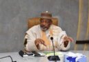Food Prices Down By 50% — Agric Minister Kyari Insists, Says Tinubu’s Food Security Agenda Is Working